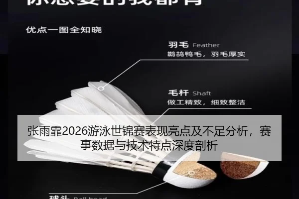 张雨霏2026游泳世锦赛表现亮点及不足分析，赛事数据与技术特点深度剖析